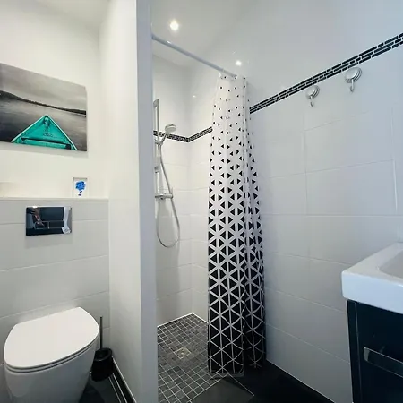 Independant Avec Frigo Et Micro-ondes