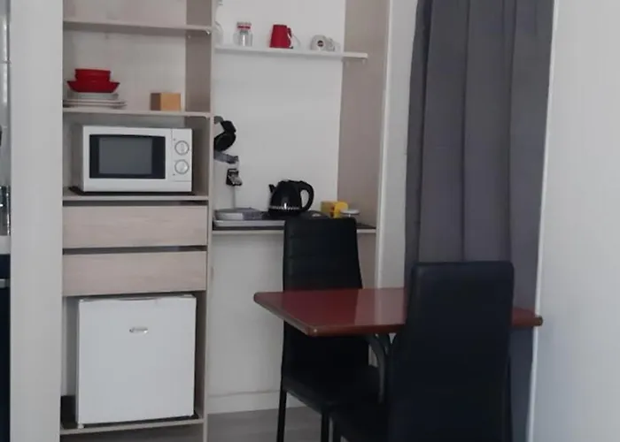 Independant Avec Frigo Et Micro-ondes 3*