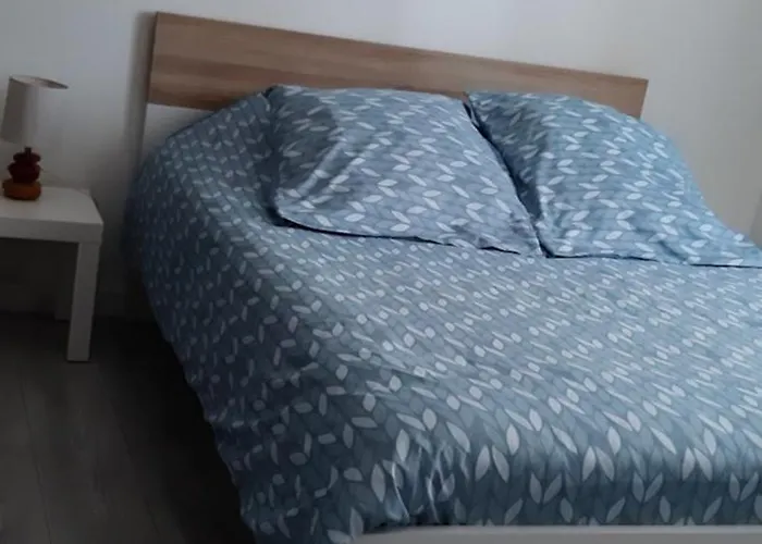 Independant Avec Frigo Et Micro-ondes