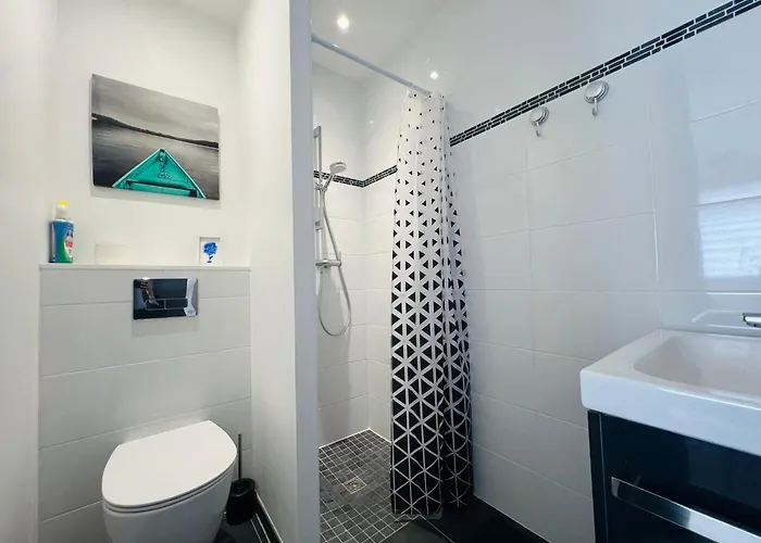 Independant Avec Frigo Et Micro-ondes